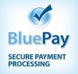 secure processing by bluepay